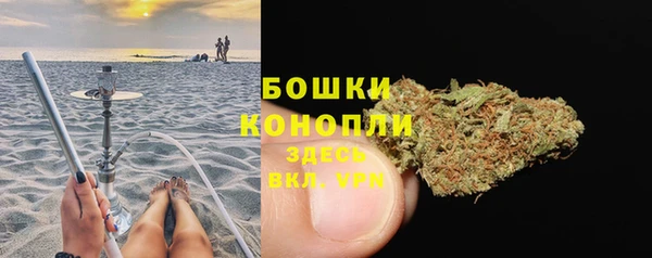молекула духа Арсеньев