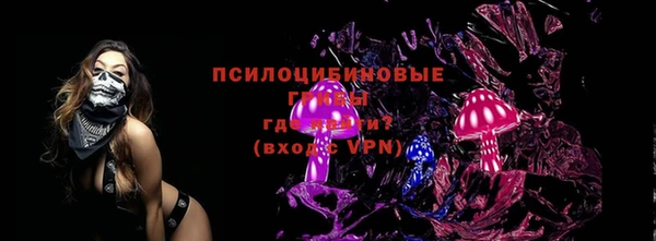 МДПВ Алексин