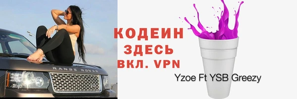 молекула духа Арсеньев
