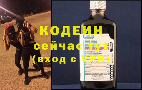 молекула духа Арсеньев