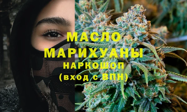 молекула духа Арсеньев