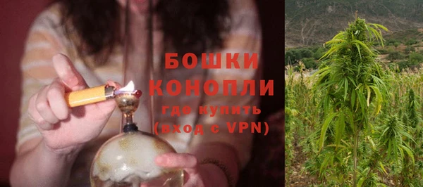 дурь Аркадак